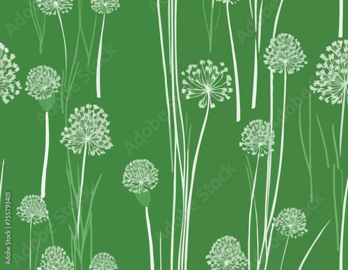 Chives green isolated with a drawing