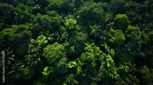 A hyper zoomed in perspective of a tropical forest © Cloudyew