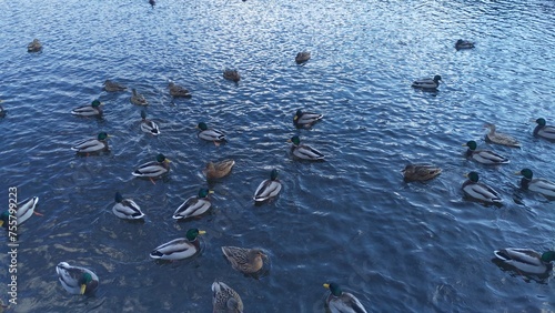 Quadro em tela In late fall with sub-zero air temperatures, ice is not yet established on the reservoir