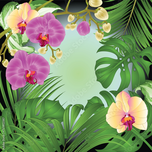 Design frame of flowers orchids Phalaenopsis and tropical leaves palm,philodendron watercolor vintage vector illustration  editable hand draw