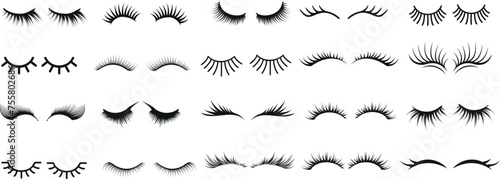 eyelashes Vector set, diverse eyelash styles, isolated on white. Perfect for beauty, makeup, feminine designs.  detailed eyelashes illustration. Natural to dramatic looks, various thicknesses, lengths