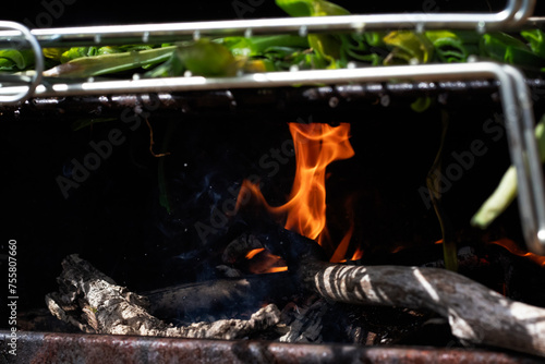 Barbacoa, calçotada photo