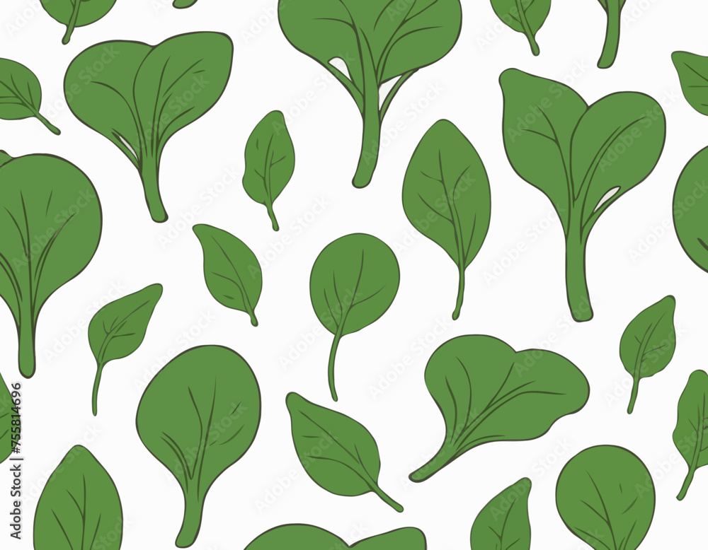 Illustration of spinach with root against white background Illustration of spinach with root against white background