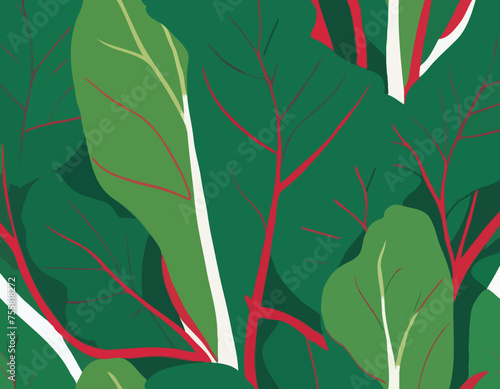 Fresh swiss chard 
