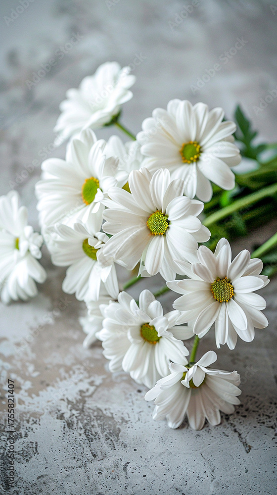 Obraz premium White daisies on a gray stone background, a vertical banner. A bouquet of daisies in close-up, space for text.