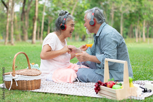 senior couple have a picnic wearing headphone to listen a music and looking each other in the park