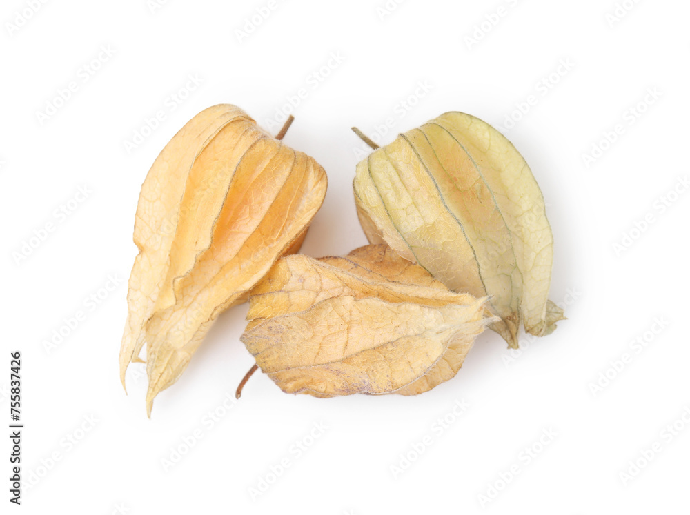 Ripe physalis fruits with calyxes isolated on white, top view