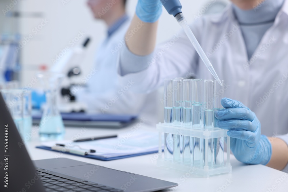 Fototapeta premium Scientist dripping sample into test tube in laboratory, closeup