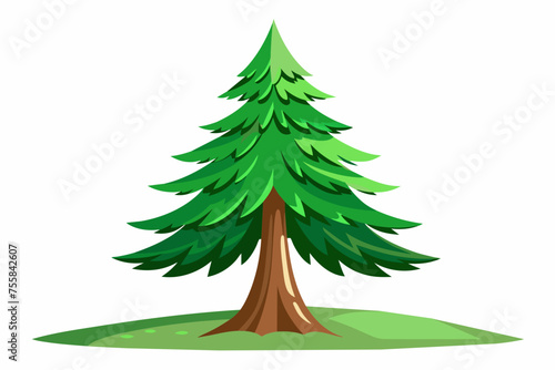 green pine tree vector illustration 