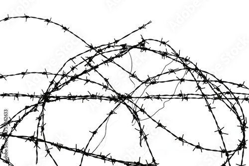 Tableau sur toile barbed wire isolated transparency background.