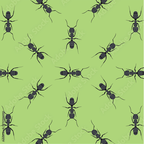 Vector seamless pattern with ant © Vaova studio