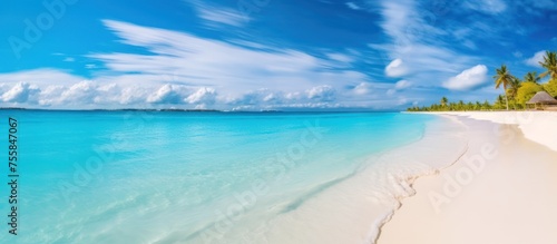 Summer natural landscape. Tropical beach with sea  blue sky and palm trees and white sand