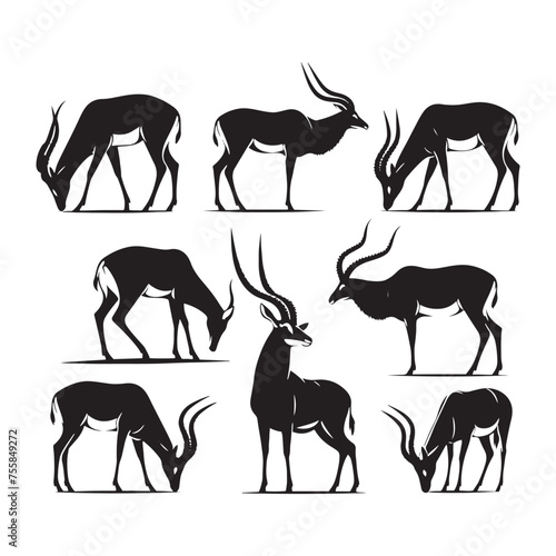Fototapeta Naklejka Na Ścianę i Meble -  Graceful Gazelle vector art: Vector Antelope Silhouette, minimalist black Antelope Illustration.