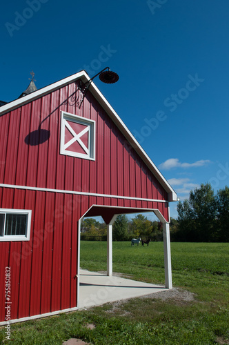 Small red barn exterior with run in shed and porch metal siding overhang shelter from shade with white framed window and decor rural farm in countryside blue sky in background vertical room for type 