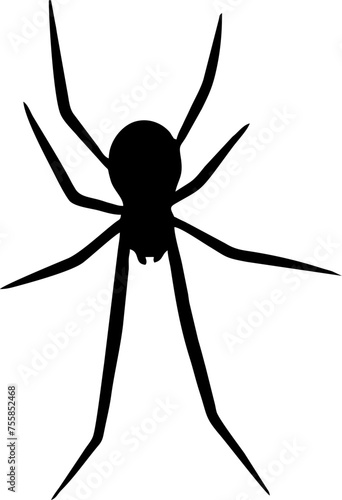 Spider and web black vector silhouette image