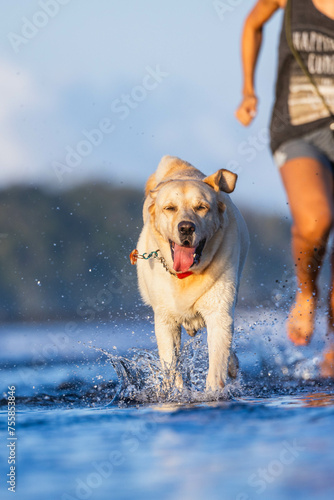 Girl running on the beach with a dog