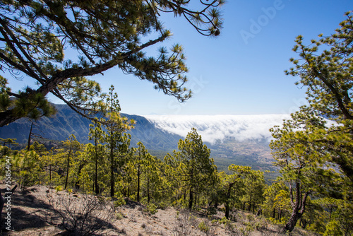 Landscape in Bejenado Peak in Caldera de Taburiente, La Palma, Spain photo