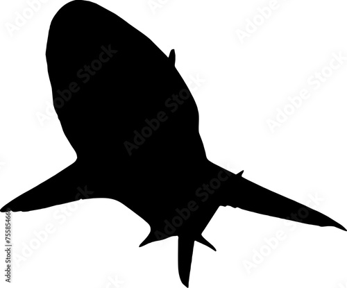 Shark Fish black vector silhouette image photo