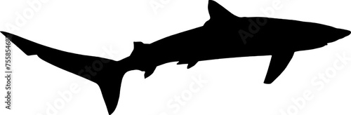 Shark Fish black vector silhouette image photo