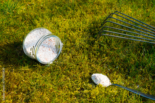 Naturall moss removal on the green lawn with rake and crashed eggshells as lime fertilizer