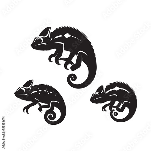 Colorful Camouflage: Vector Chameleon Silhouette, Minimalist Black chameleon Illustration.