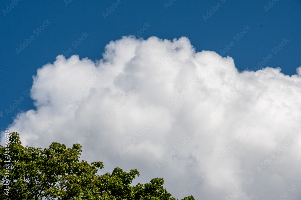 Underbara moln målar himlen med en himmelsk duk. Pissiga cirrusmoln, som fjädrar, dansar högt ovanför och fångar solljus. Cumulusmoln liknar sockervadd, fluffiga och inbjudande. Underbara moln målar himlen med en himmelsk duk. Pissiga cirrusmoln, som fjädrar, dansar högt ovanför och fångar solljus. Cumulusmoln liknar sockervadd, fluffiga och inbjudande.