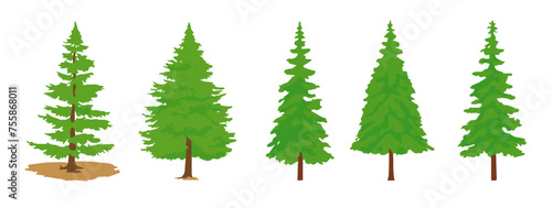 Set of Pine Trees and Spruce Trees. Isolated Evergreen Trees in Vector Illustration on a White or Transparent Background.