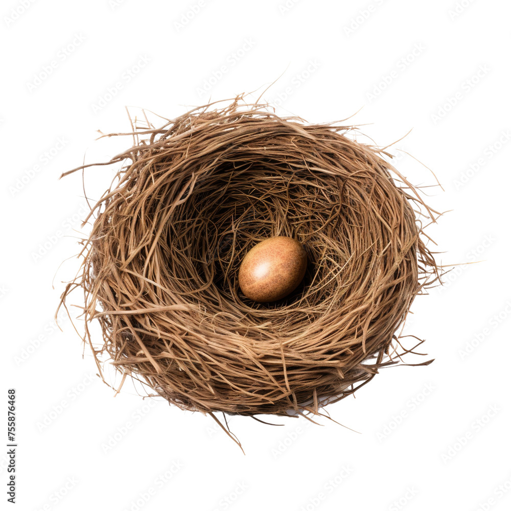 Empty bird nest isolated on white or transparent background Empty bird nest isolated on white or transparent background