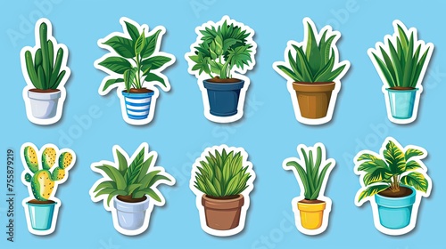 Collection of assorted potted plants stickers