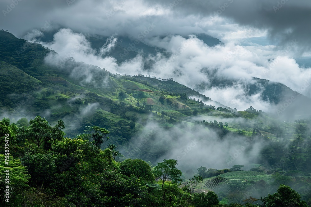 Misty Mountain Peak Misty Mountain Peak