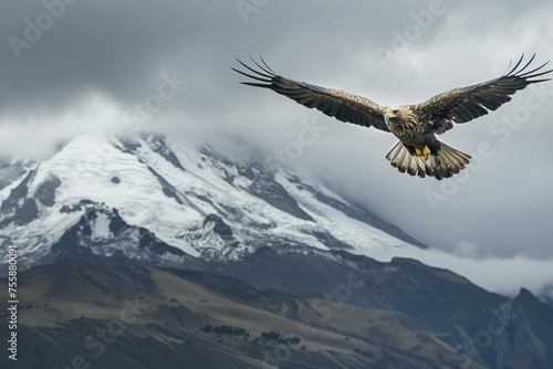 Large Bird Flying Over Snow-Covered Mountain
