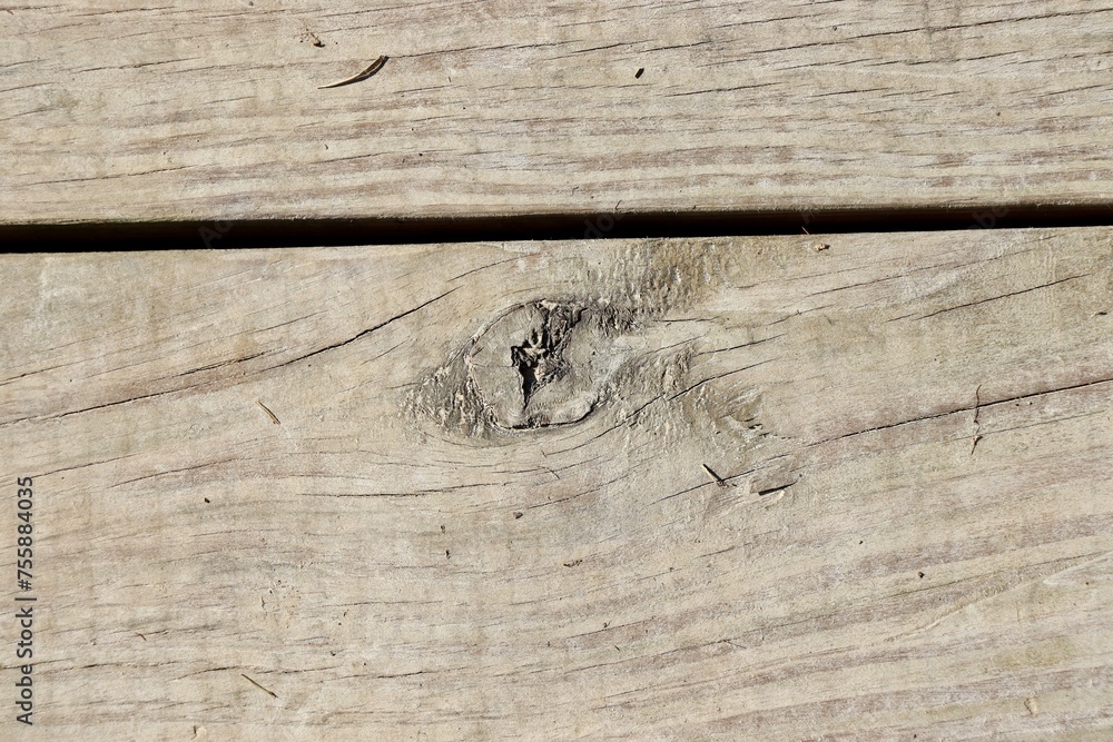A close view of the old wood board surface. A close view of the old wood board surface.