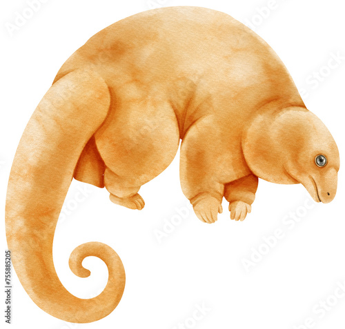 silky anteater wildlife animal watercolor illustration photo