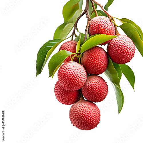 Bountiful Bounty: A Luscious Display of Ripe Lychees Dangling from the Boughs, Capturing Nature's Delightful Abundance in a Single Frame - PNG Cutout Isolated on a Transparent Backdrop