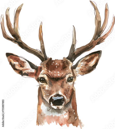 Watercolor deer object isolate illustration vector.	
