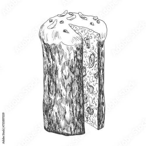 Hand drawn italian panettone. Sketch style chopped Easter cake with raisins. Sweet bread with dried fruits. Orthodox paska. Vector illustration.