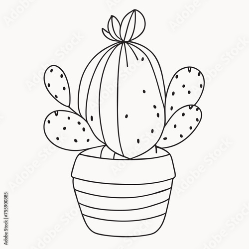 cute cactus, cereus peruvianus, white background, vector illustration line art photo