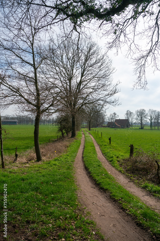 Track through the fields near Kotten (Winterswijk) in The Netherlands.