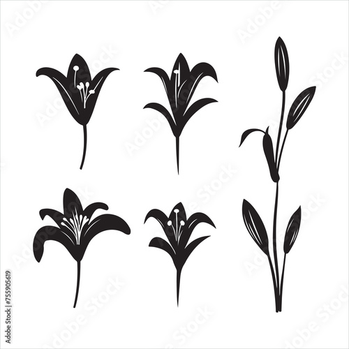 A black silhouette Lily flower set
