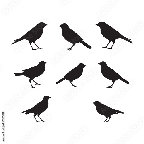 A black silhouette Lark bird set

