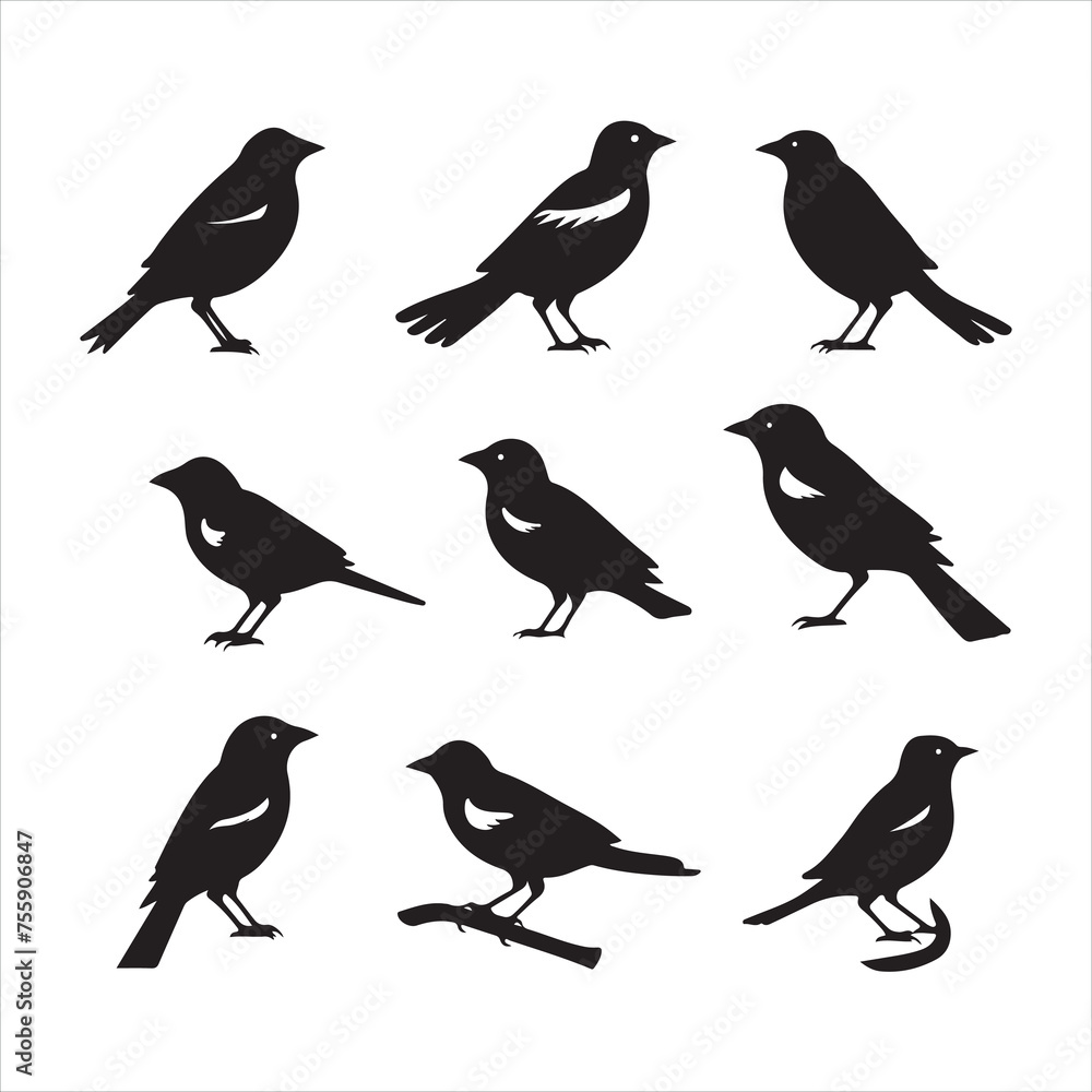 A black silhouette Jay bird set
A black silhouette Jay bird set