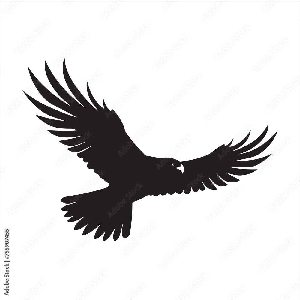 Fototapeta premium A black silhouette Hawk bird set 