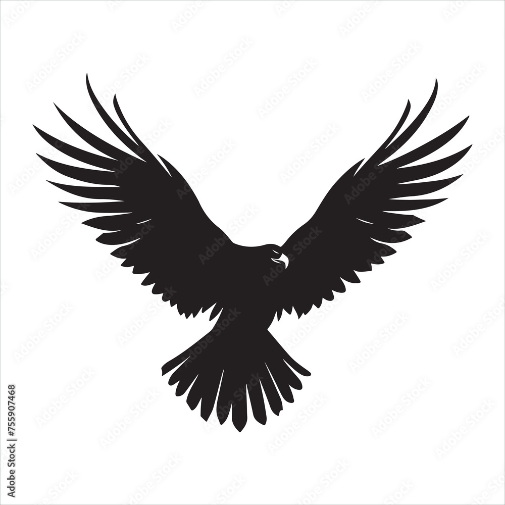 Obraz premium A black silhouette Hawk bird set 