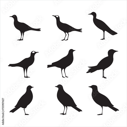 A black silhouette Gull bird set 