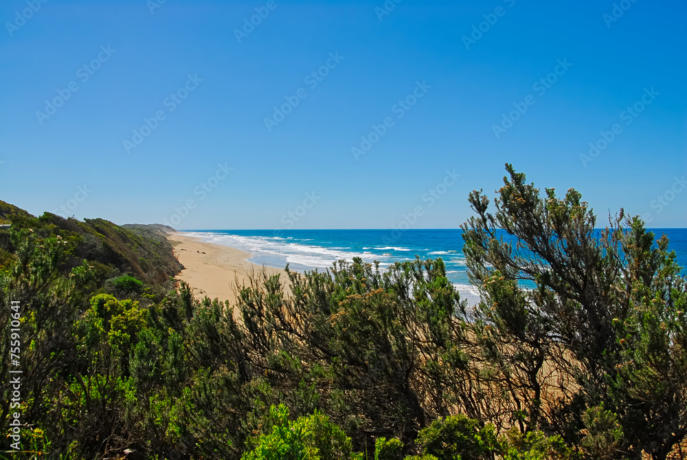 A beautiful clear day at Guvvos Beach near Anglesea on the Great Ocean Road in southern Victoria, Australia.
