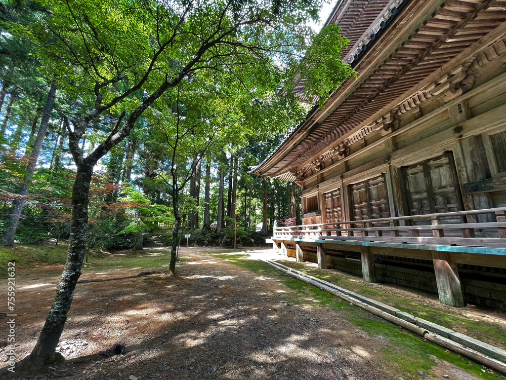 Fototapeta premium Ancient Craftsmanship: Japanese Wooden Temple in Koyasan, Wakayama, Japan
