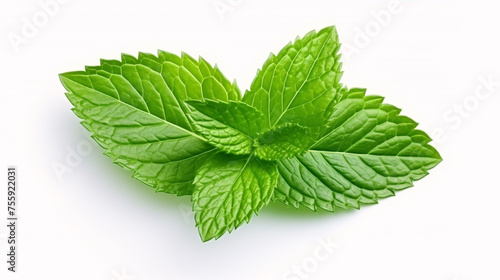 Mint leaf. Fresh mint on white background. Mint leaves isolated. Full depth of field. 