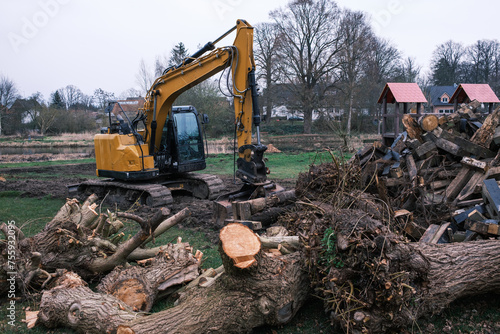A sawn-up tree trunk is moved with an excavator