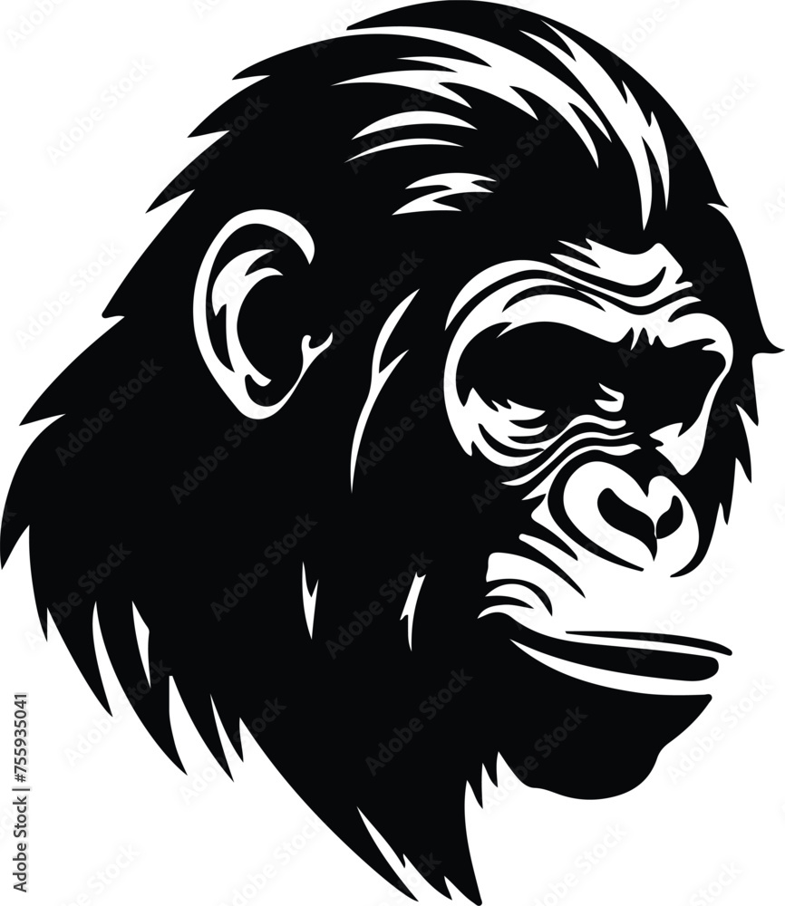 Fototapeta premium ape silhouette