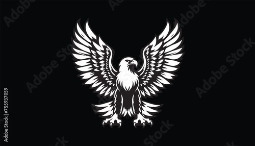 eagle with wings design 